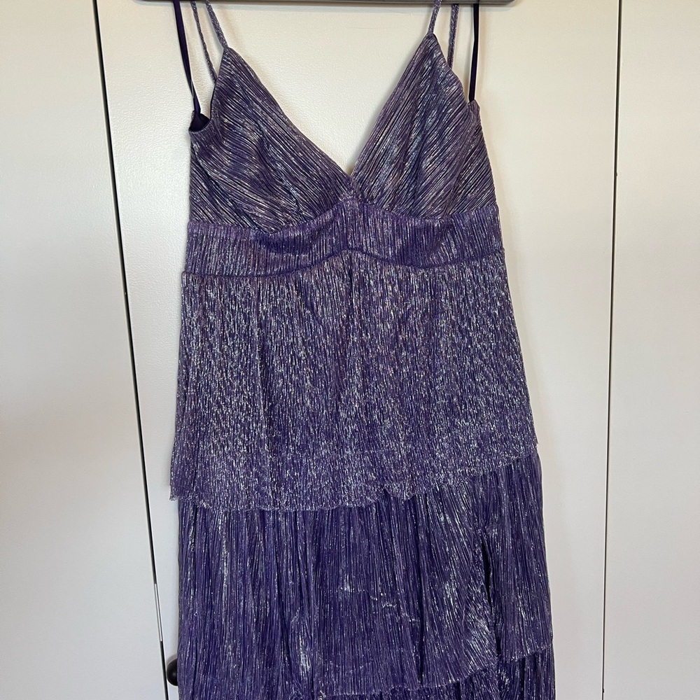 Taylor Swift SPEAK NOW Sparkling Purple Dress